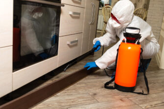 Servicios de fumigaciones en Castellón