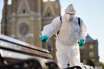 Control de plagas de xilófagos en Castellón